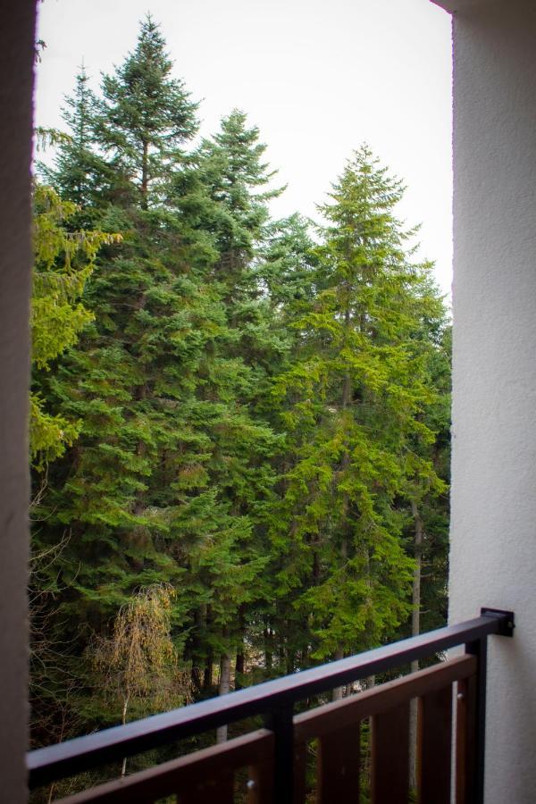 Borovets Gardens Studio Экстерьер фото